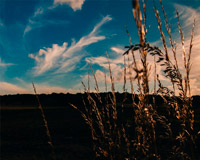 网络ddos监测分析工具