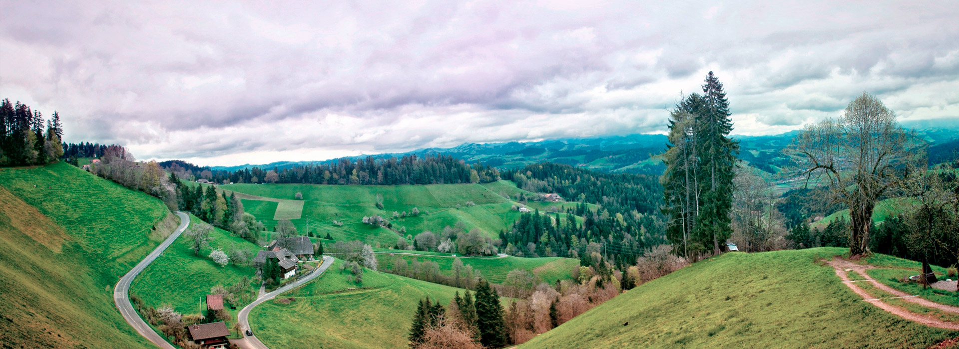 服务器攻击方式